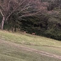 SkeeterFlats RV and Camper Park ico