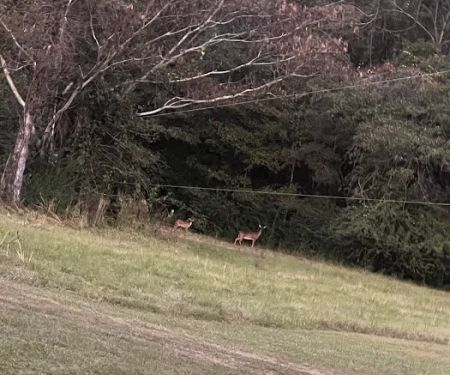 SkeeterFlats RV and Camper Park