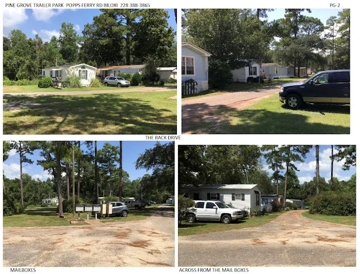 Pine Grove Trailer Park Picture 2