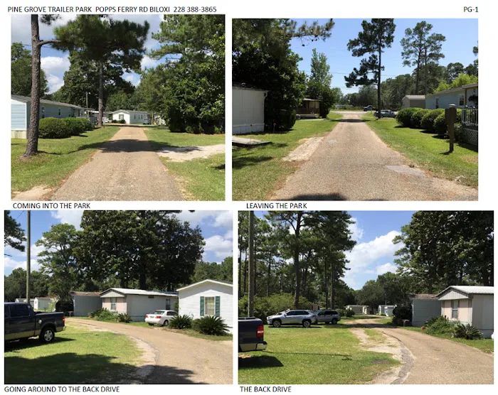 Pine Grove Trailer Park Picture 5