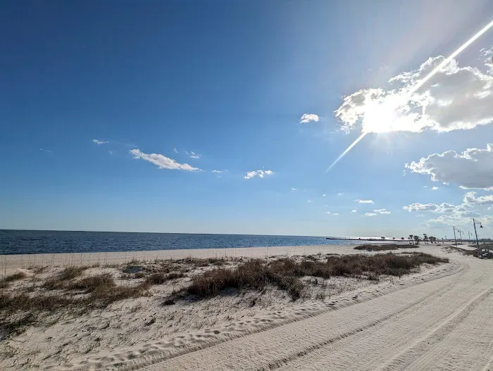 Cajun RV Park Picture 8