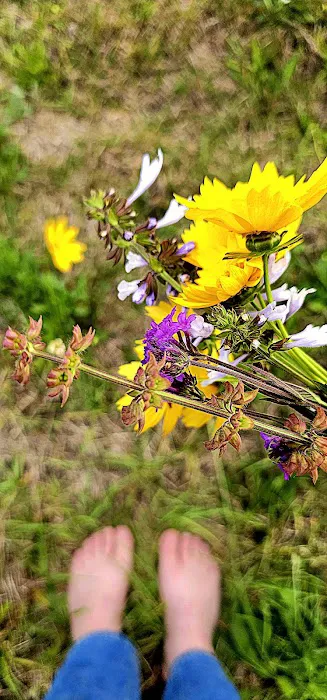 Parker's Landing Picture 10