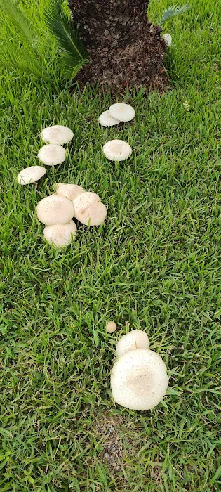 Parker's Landing Picture 5