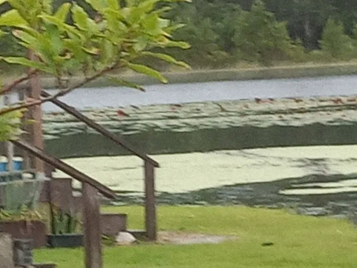 LakeView RV Resort Picture 7