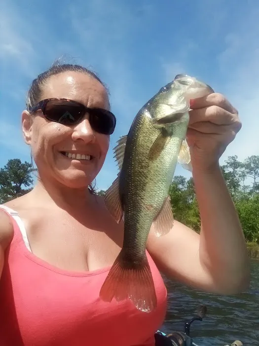 LakeView RV Resort Picture 4