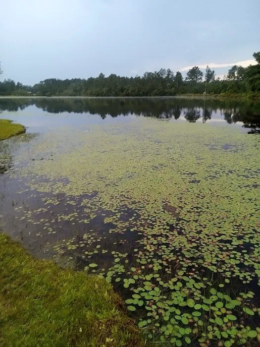 LakeView RV Resort Picture 3