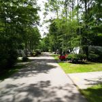 Peaceful Pines RV Park