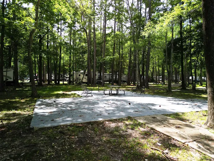 Peaceful Pines RV Park Picture 2