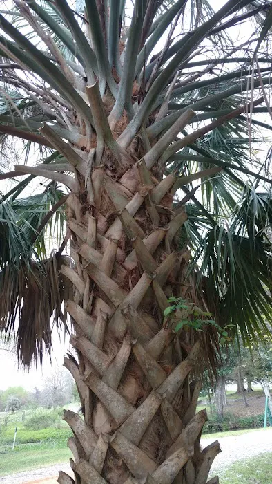 Fox's Enterprises Picture 3