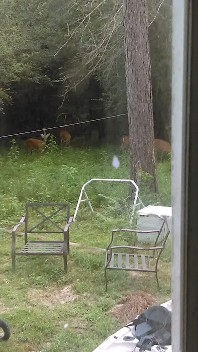 Pine Haven Mobile Home Park Picture 1