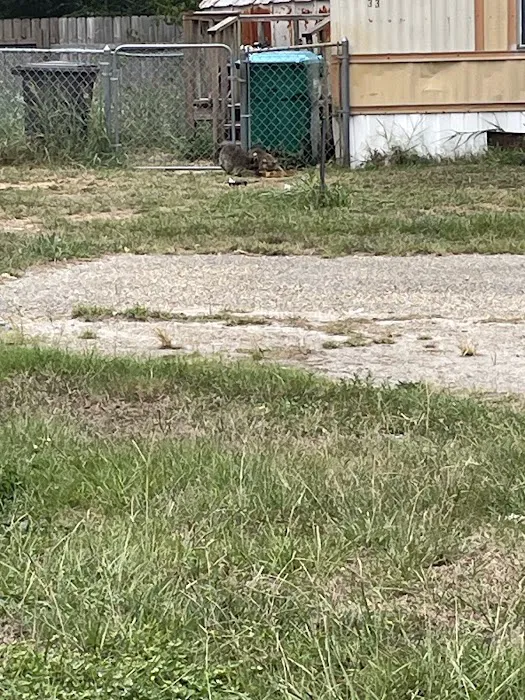 Bayou Oaks Mobile Home Park Picture 6