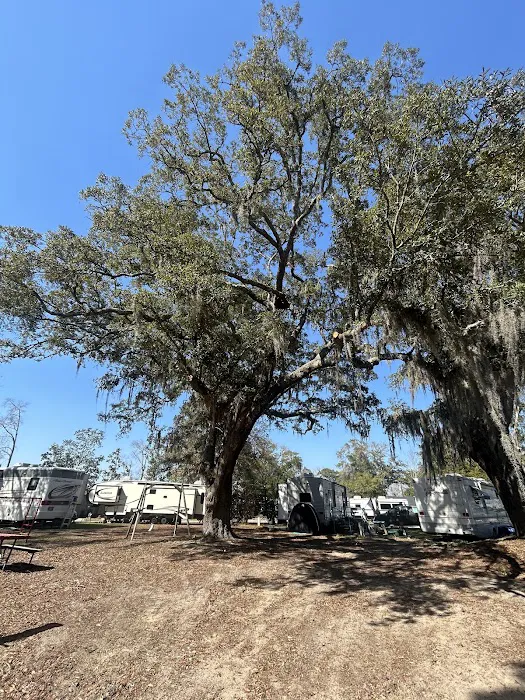 Baywood RV Park Picture 7