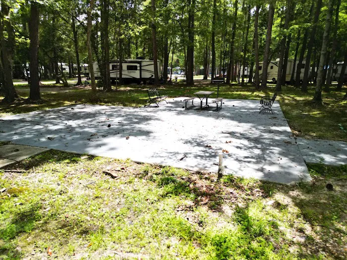 Baywood RV Park Picture 10