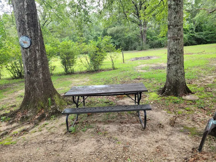 Dabbs Woodland Farm RV Park & Campground Picture 6