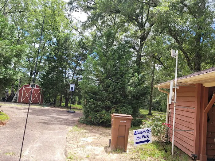 Dabbs Woodland Farm RV Park & Campground Picture 2