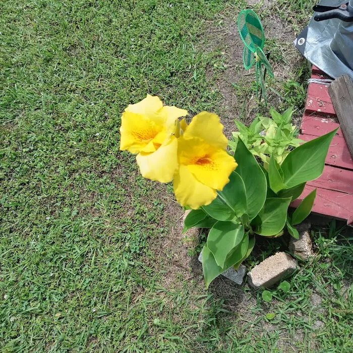 Southern Oaks MH & RV Community Picture 7