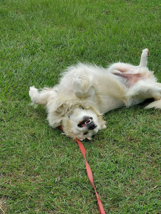 Shields RV Military Park Picture 2