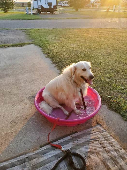 Shields RV Military Park Picture 5