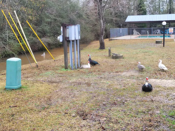 Country Side RV Park Picture 1