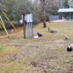 Country Side RV Park