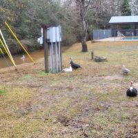 Country Side RV Park ico