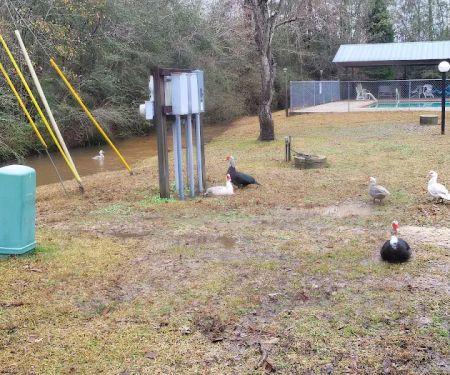 Country Side RV Park