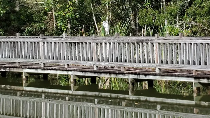 Diamond Lake RV Park Picture 7