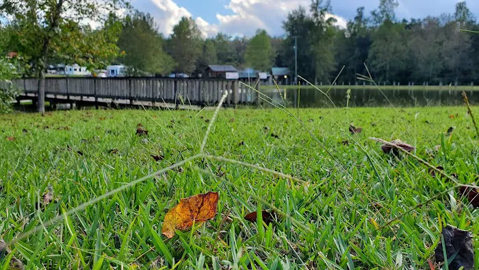 Diamond Lake RV Park Picture 1