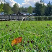 Diamond Lake RV Park ico