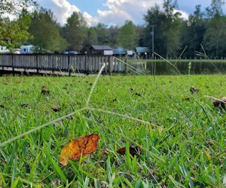 Diamond Lake RV Park