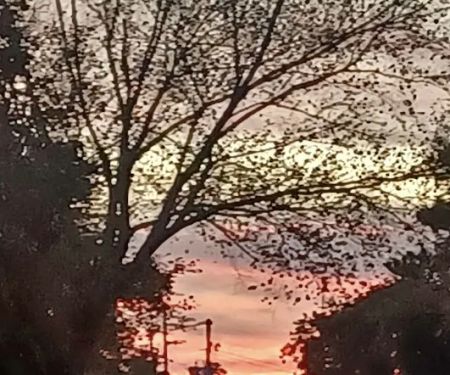 Bayberry RV park back lot