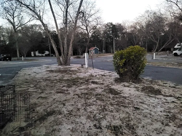 Perk Beach RV Park Picture 3