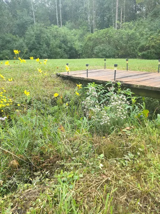 Magnolia Sands RV Park Picture 8