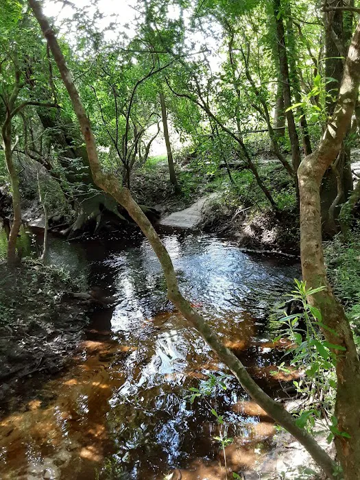 Magnolia Sands RV Park Picture 1