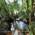 Magnolia Sands RV Park