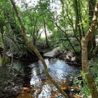 Magnolia Sands RV Park ico