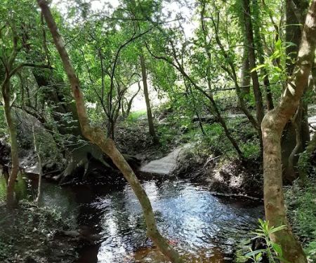 Magnolia Sands RV Park