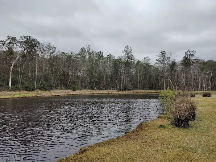 Magnolia Sands RV Park Picture 5