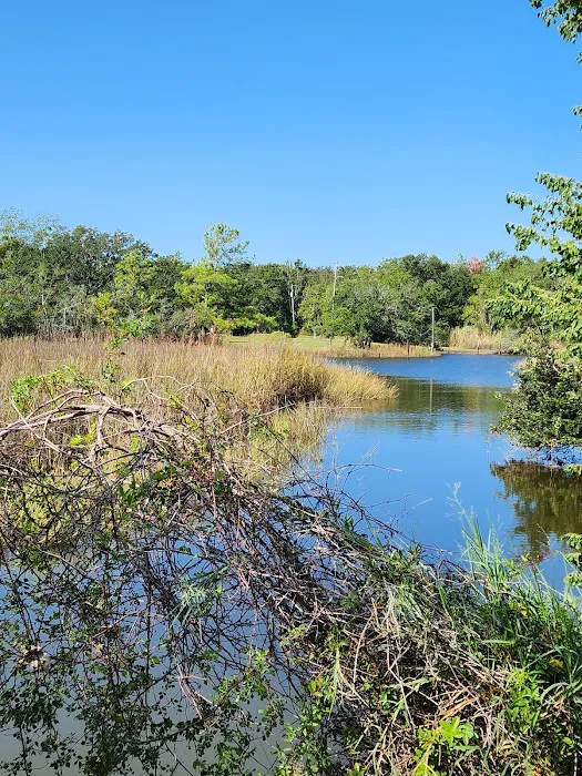 Hollywood Casino RV park Picture 2