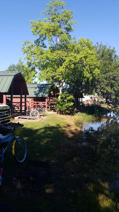 Bay St Louis Campground Picture 10