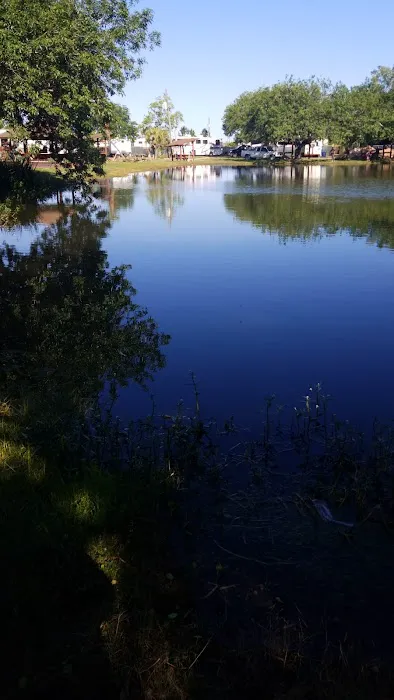 Bay St Louis Campground Picture 9