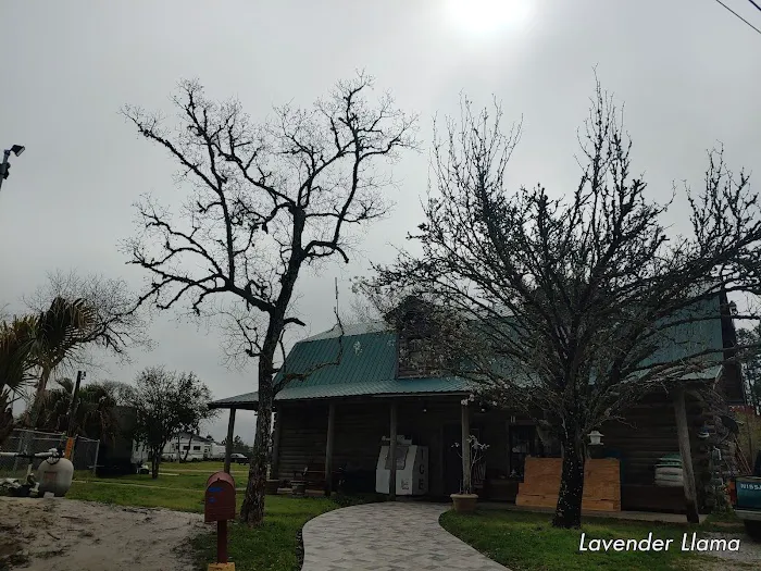 Bay St Louis Campground Picture 7