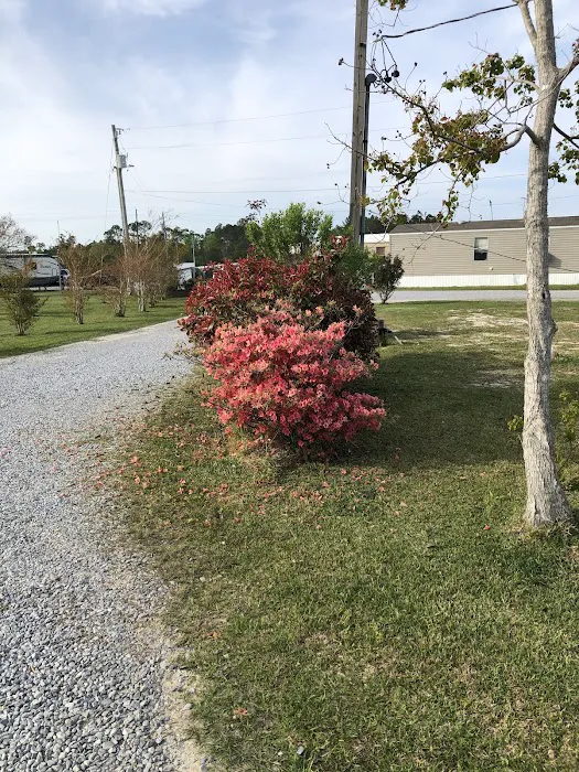 Azalea Bay RV Park Picture 7
