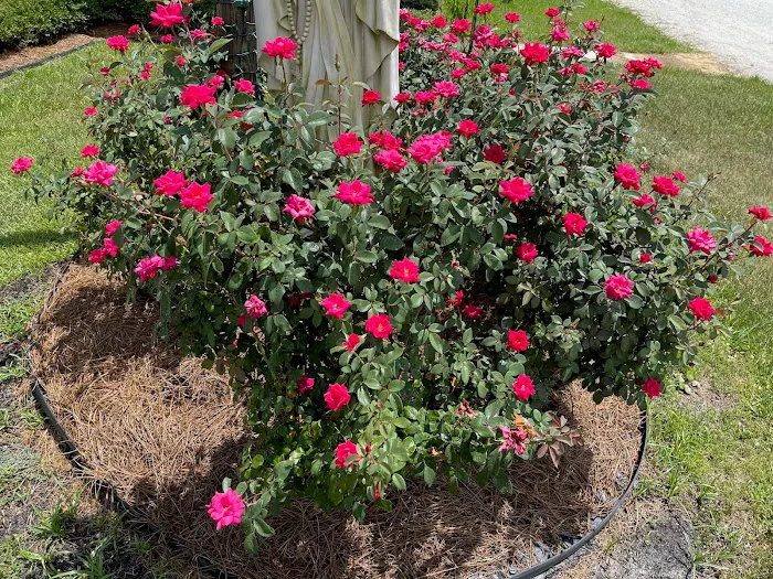 Azalea Bay RV Park Picture 8