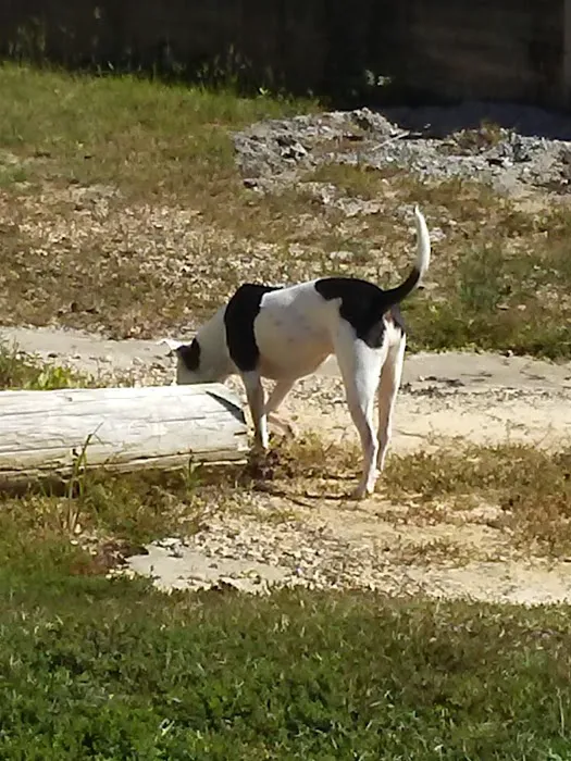 Nella's RV Park Picture 3