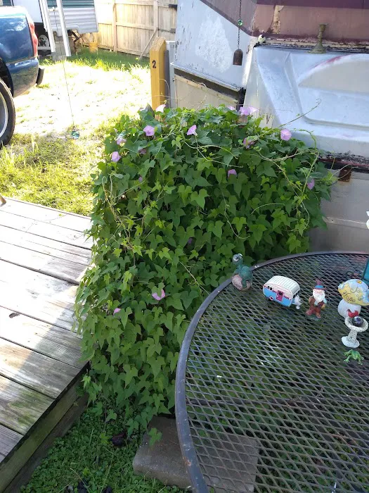 Nella's RV Park Picture 9