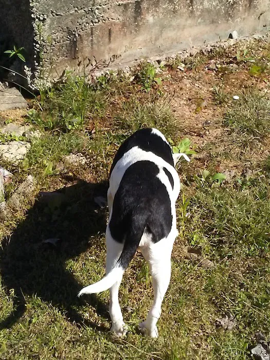 Nella's RV Park Picture 7