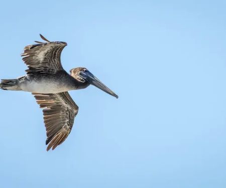 Legends of the Bayou RV Park