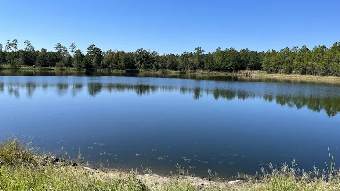 Lake LaCroix RV Resort **Best, New, Clean Family Friendly RV Park MS. Gulf Coast Picture 3