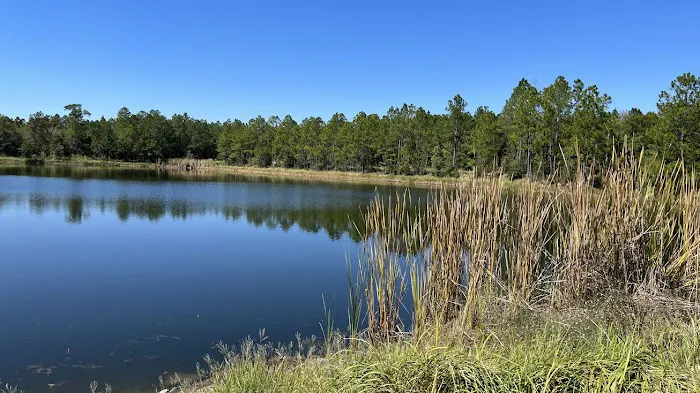 Lake LaCroix RV Resort **Best, New, Clean Family Friendly RV Park MS. Gulf Coast Picture 4